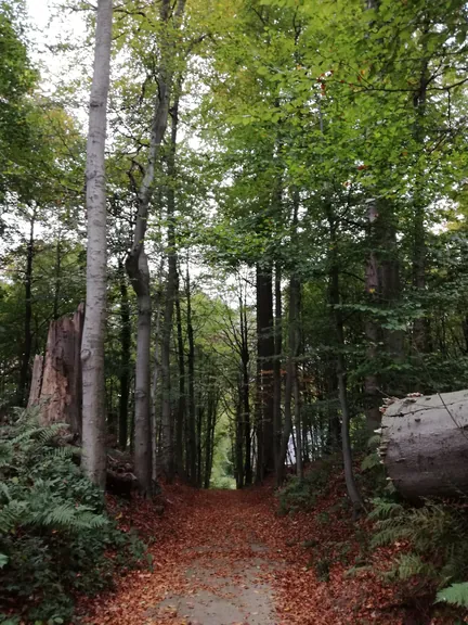 Gaasbeek + Kasteel van Gaasbeek (Lennik, België)